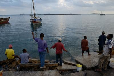 Tanzania images - Zanzibar Harbour & Fishermen