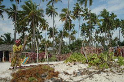 pictures of Zanzibar Island - Kiwengwa Beach and Around