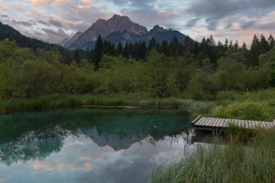 photos of Slovenia - Zelenci Springs