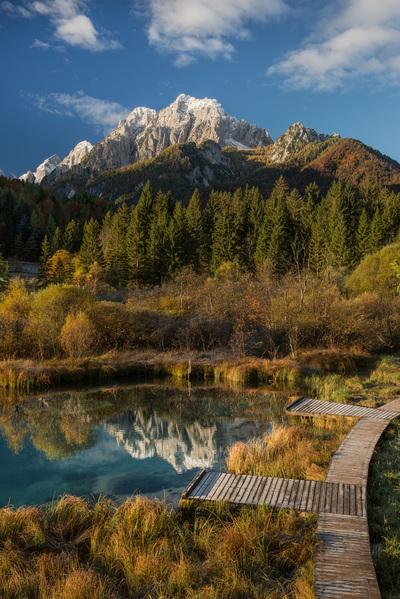 Slovenia photos - Zelenci Springs