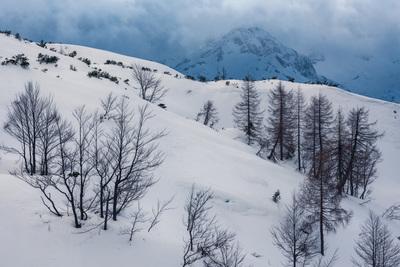 Slovenia images - Mt Triglav & Vogel Ski Center