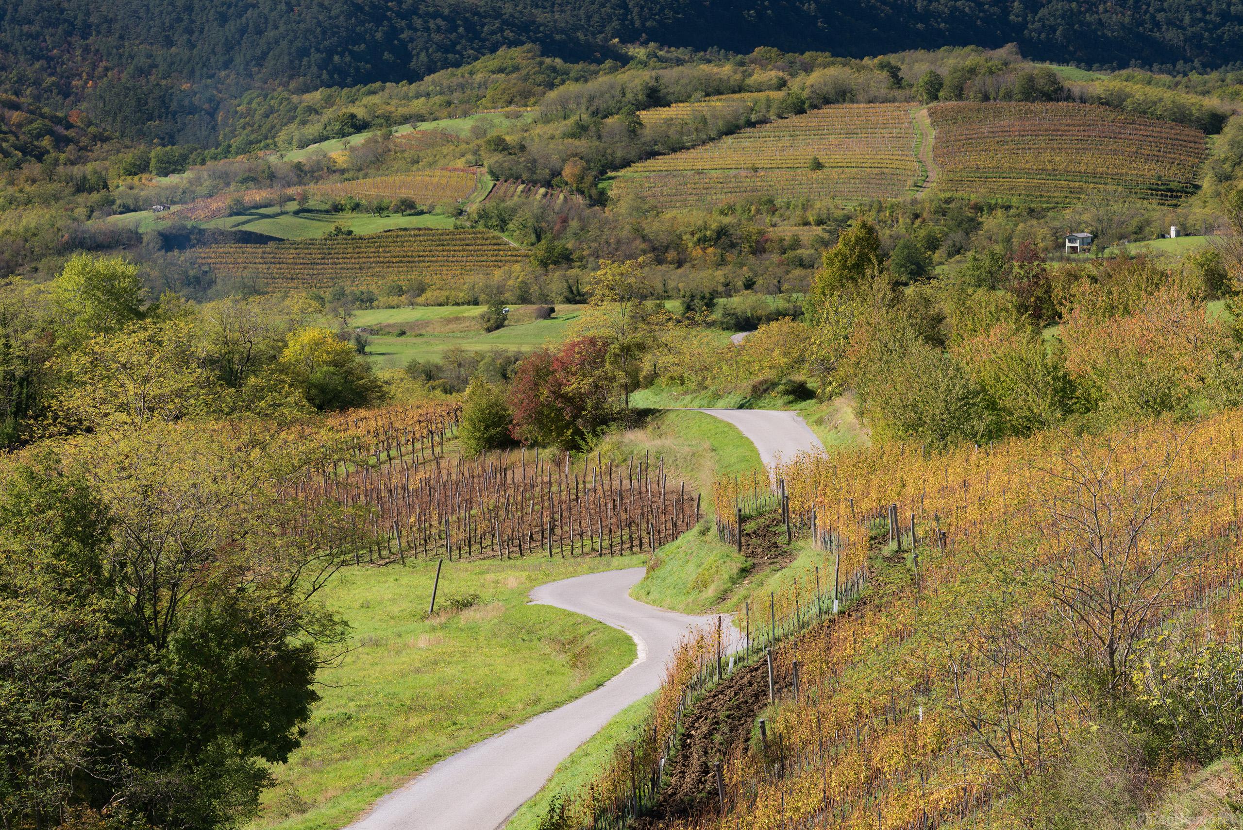 Image of Vipava Valley Road by Luka Esenko
