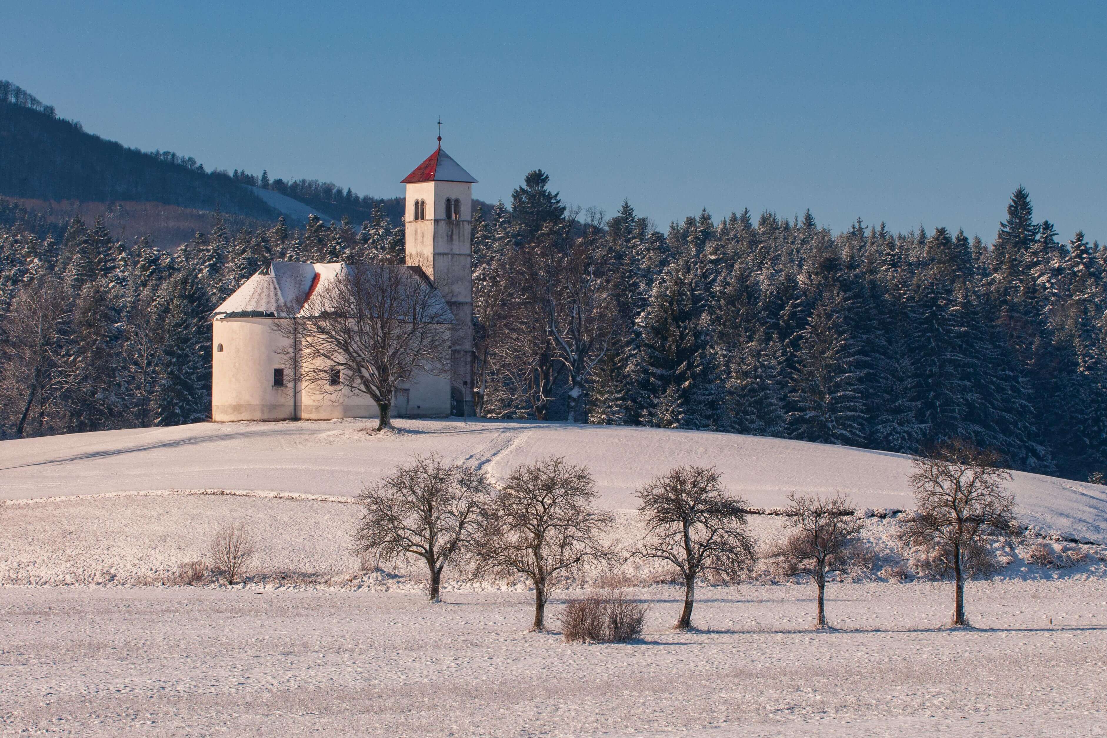 Image of St Wolfgang Church at Zelše by Luka Esenko
