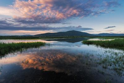 Slovenia images - Cerknica Lake - Reflections