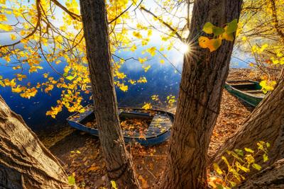 Slovenia pictures - Lake Cerknica - Boats and Trees