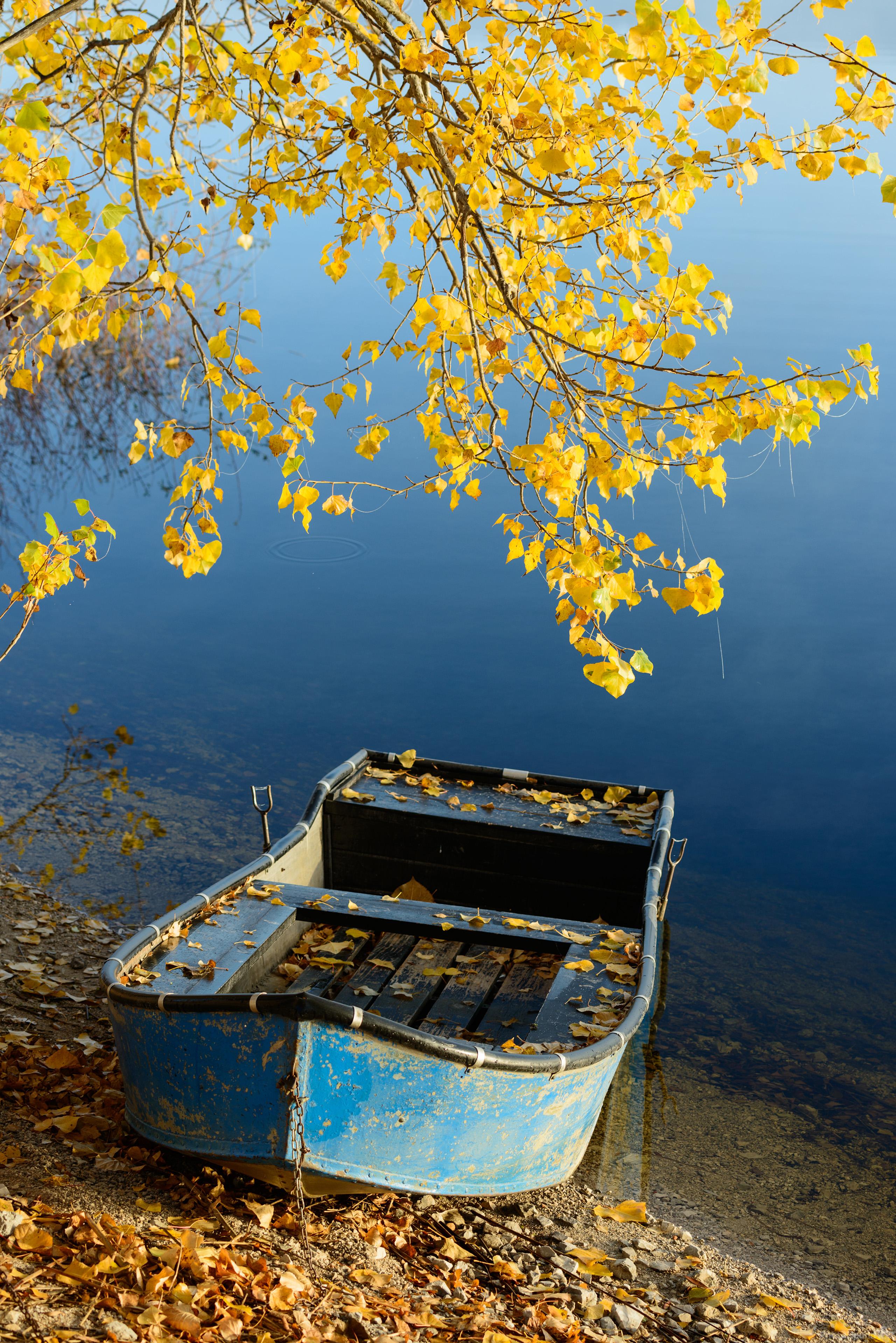 Image of Lake Cerknica - Boats and Trees by Luka Esenko