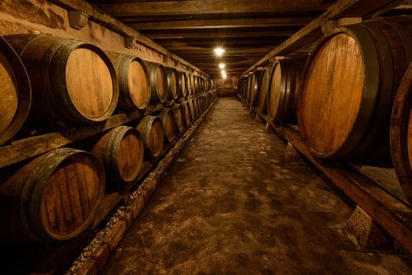 Čotar Winery