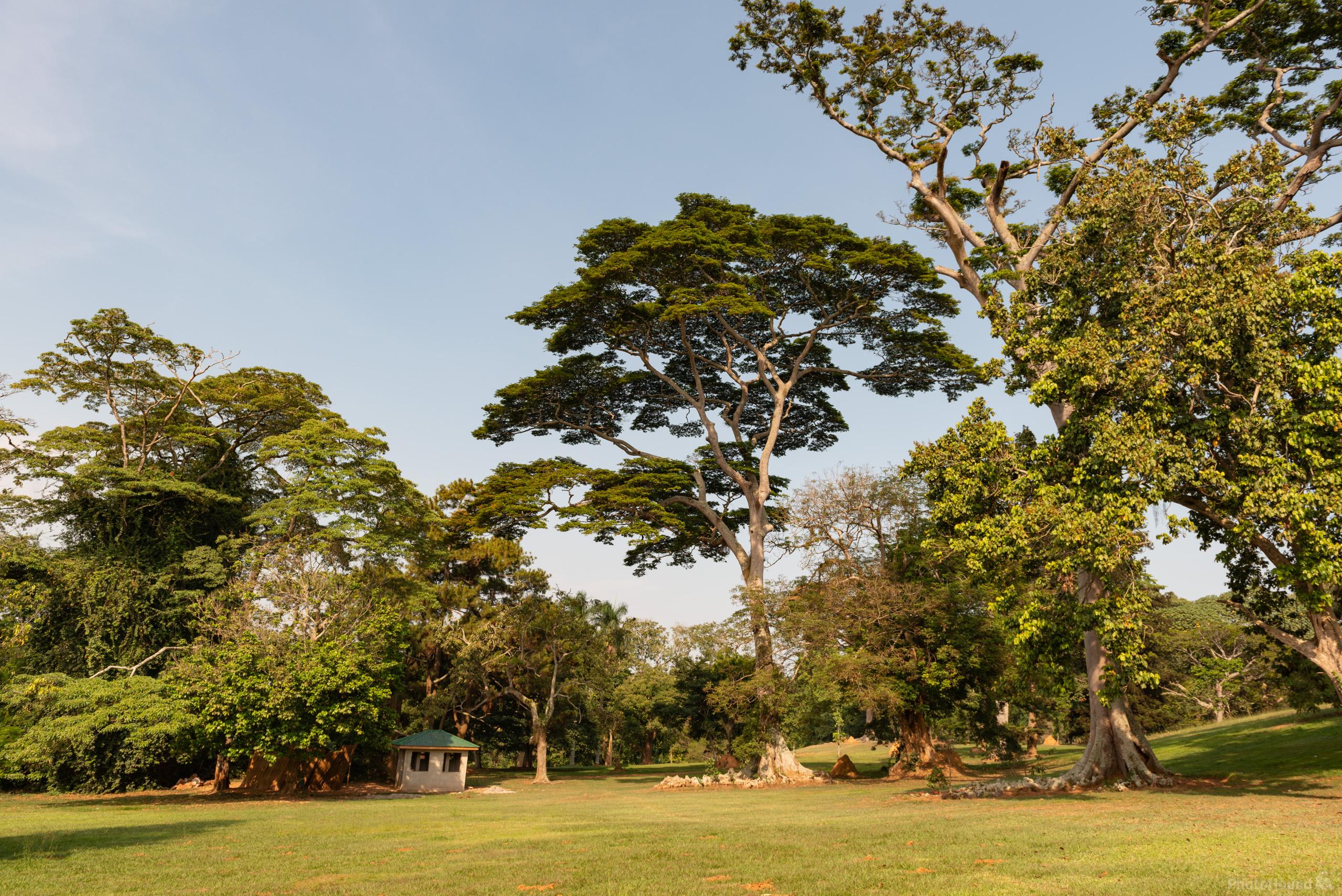 Image of Entebbe Botanical Garden by Luka Esenko