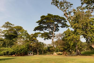 Uganda photo locations - Entebbe Botanical Garden