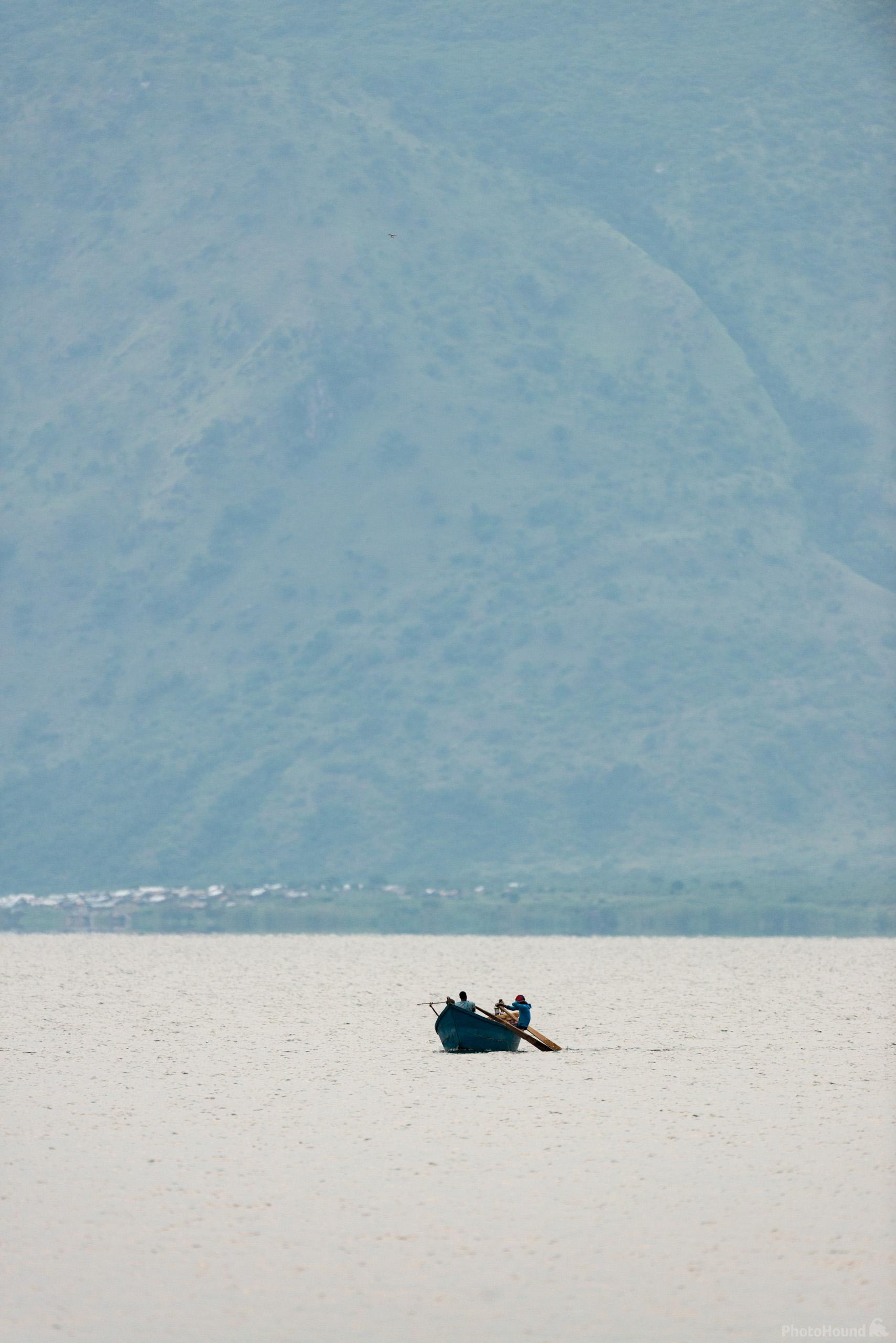 Image of Shoebill at Lake Albert by Luka Esenko