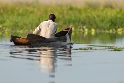 photos of Uganda - Mabamba Swamp