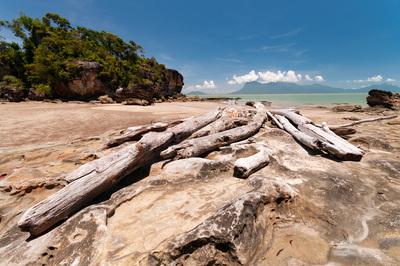 Bako National Park rocky beach