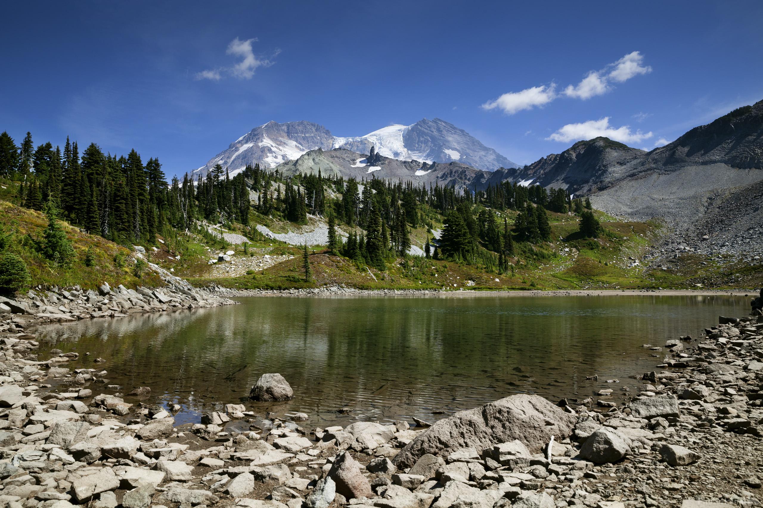 Image of Klapatche Park and St. Andrews Lake; Mount Rainier National Park by T. Kirkendall and V. Spring