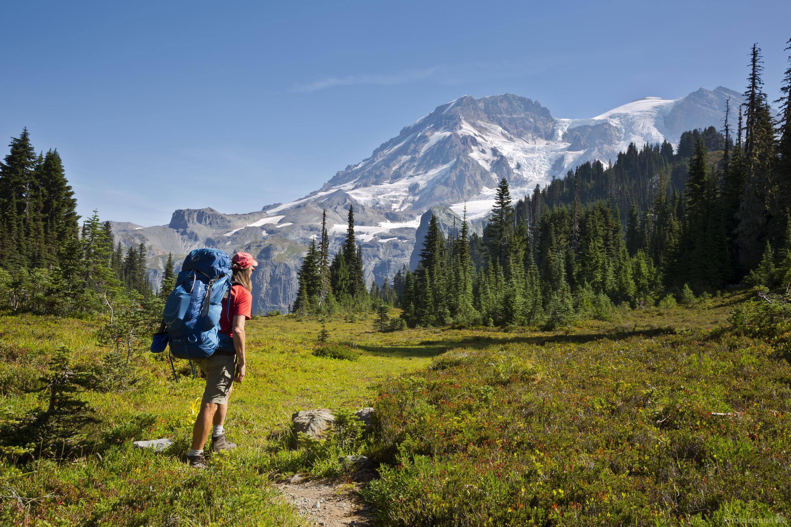 Image of Klapatche Park; Mount Rainier National Park by T. Kirkendall and V. Spring