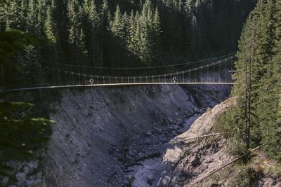 photos of Mount Rainier National Park - Tahoma Creek Bridge, Mount Rainier National Park