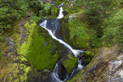 Waterfall, Tahoma Creek Trail