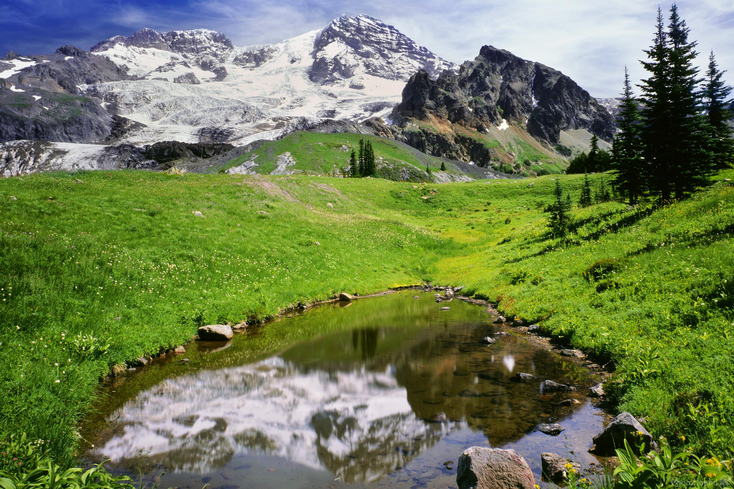 Image of Emerald Ridge, Mount Rainier National Park by T. Kirkendall and V. Spring