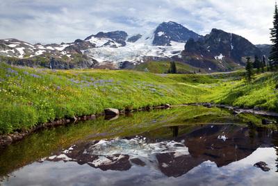 Photo of Emerald Ridge, Mount Rainier National Park - Emerald Ridge, Mount Rainier National Park
