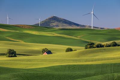 photography spots in Whitman County - File Road Steptoe Butte View