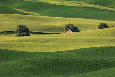 images of Palouse - File Road Steptoe Butte View