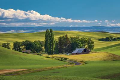 pictures of Palouse - Barbee Road Barns