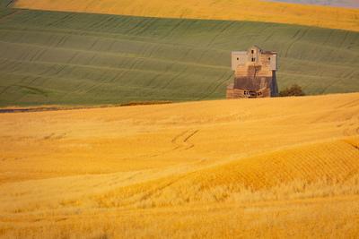 images of Palouse - Barbee Road Viewpoint