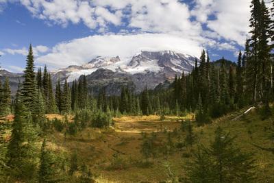 pictures of Mount Rainier National Park - Indian Henry's Hunting Ground