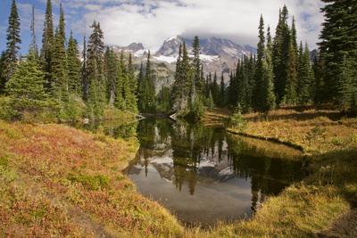photos of Mount Rainier National Park - Indian Henry's Hunting Ground