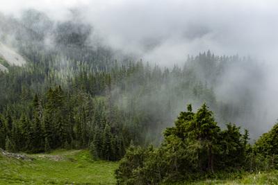 photos of Mount Rainier National Park - Eagle Peak Saddle