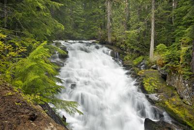 images of Mount Rainier National Park - Crater and Madcap Falls