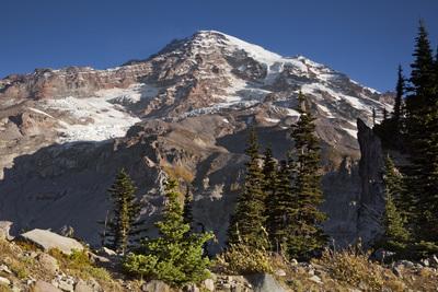 photography locations in Pierce County - Midred Point, Mount Rainier National Park