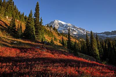 Picture of Midred Point, Mount Rainier National Park - Midred Point, Mount Rainier National Park