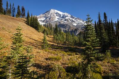 Image of Midred Point, Mount Rainier National Park - Midred Point, Mount Rainier National Park