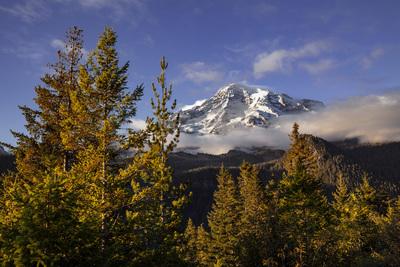 photos of Mount Rainier National Park - Ricksecker Point