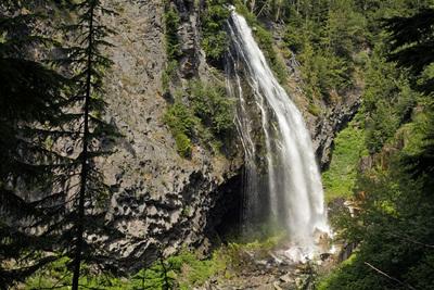 images of Mount Rainier National Park - Narada Falls