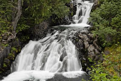 images of Mount Rainier National Park - Paradise River