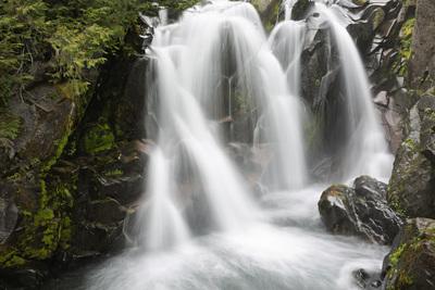 pictures of Mount Rainier National Park - Paradise River