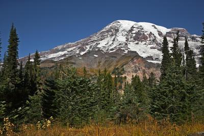Mount Rainier from Nisqually Vista Trail