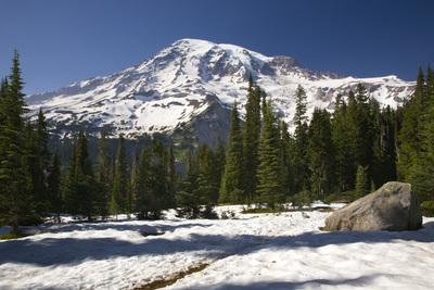 photos of Mount Rainier National Park - Nisqually Vista