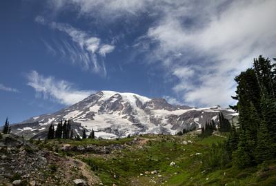 images of Mount Rainier National Park - Alta Vista