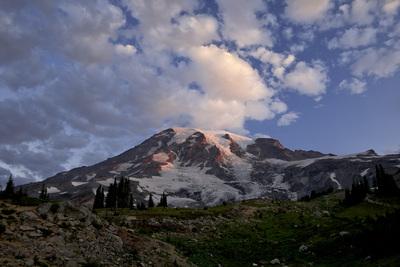 photos of Mount Rainier National Park - Alta Vista