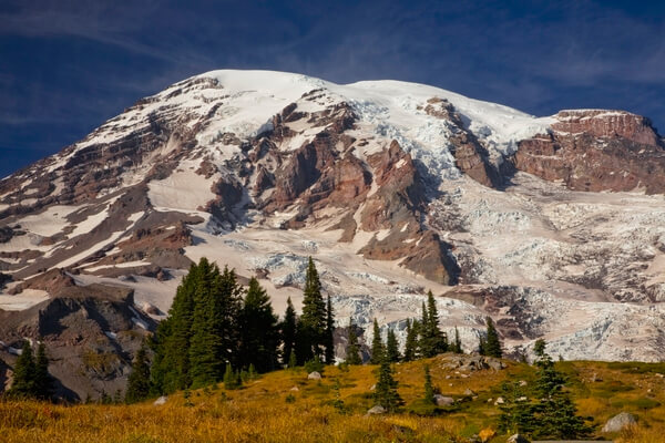Mount Rainier from Glacier Vista Trail