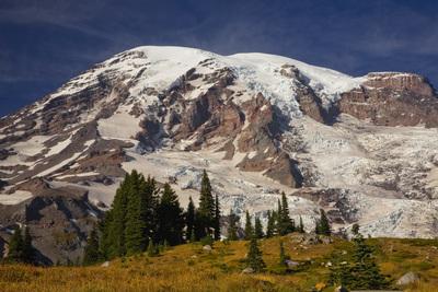 pictures of Mount Rainier National Park - Glacier Vista