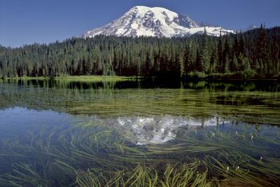 Picture of Reflection Lakes, Mount Rainier National Park - Reflection Lakes, Mount Rainier National Park