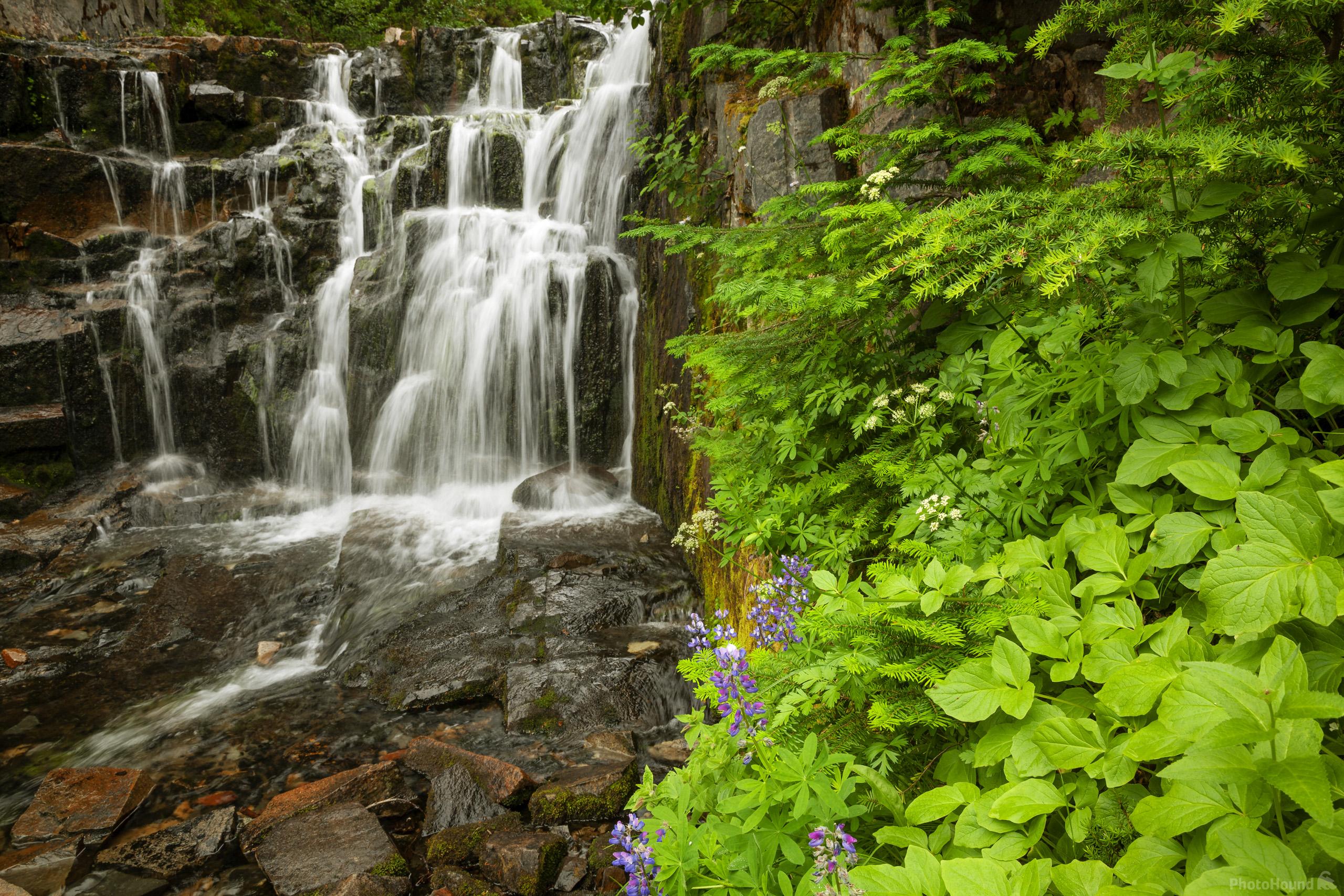 Image of Sunbeam Falls, Mount Rainier National Park by T. Kirkendall and V. Spring