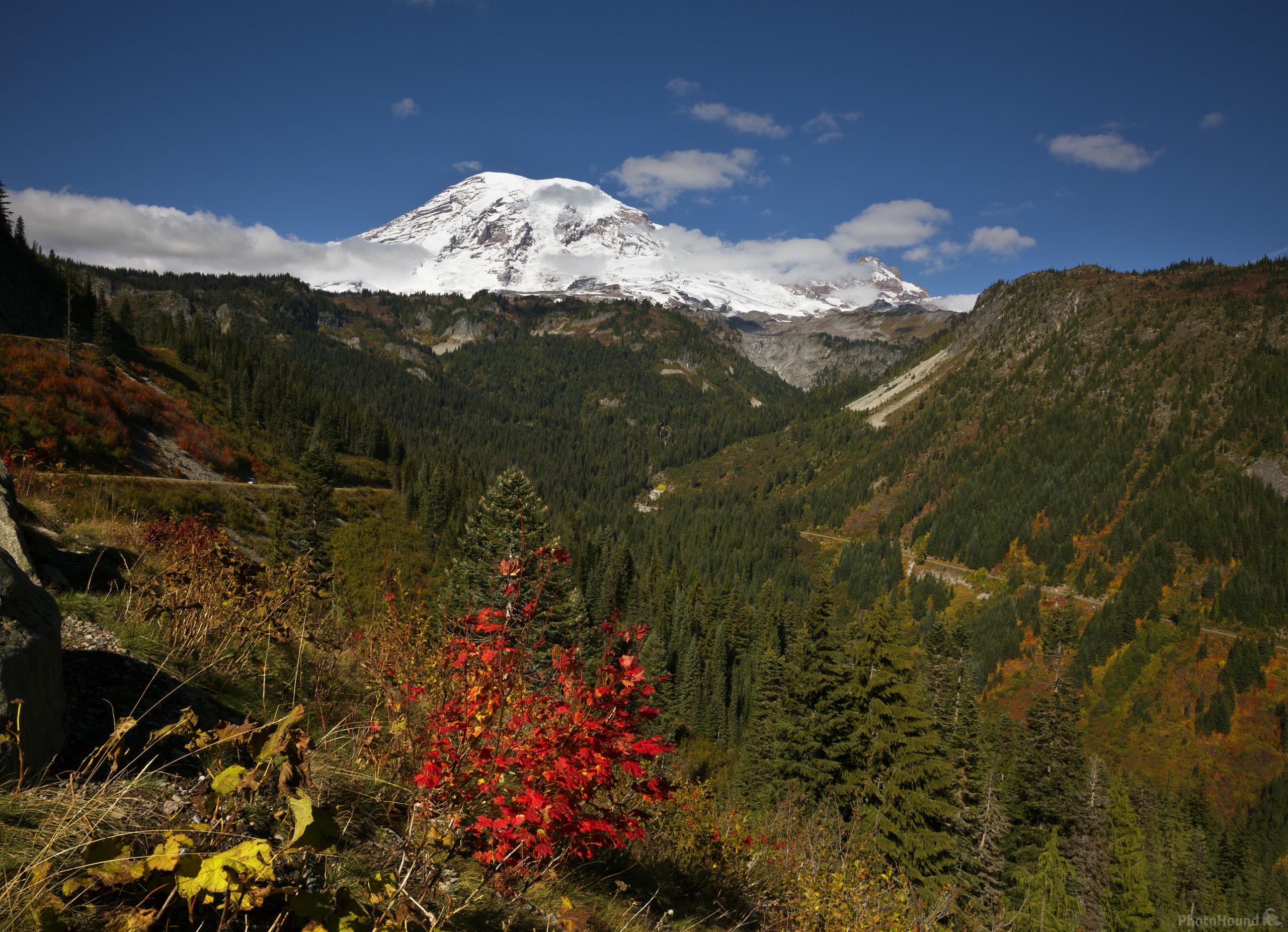 Image of Stevens Canyon Bend Viewpoint, Mount Rainier National Park by T. Kirkendall and V. Spring