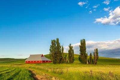 pictures of Palouse - Borgen Road Barn