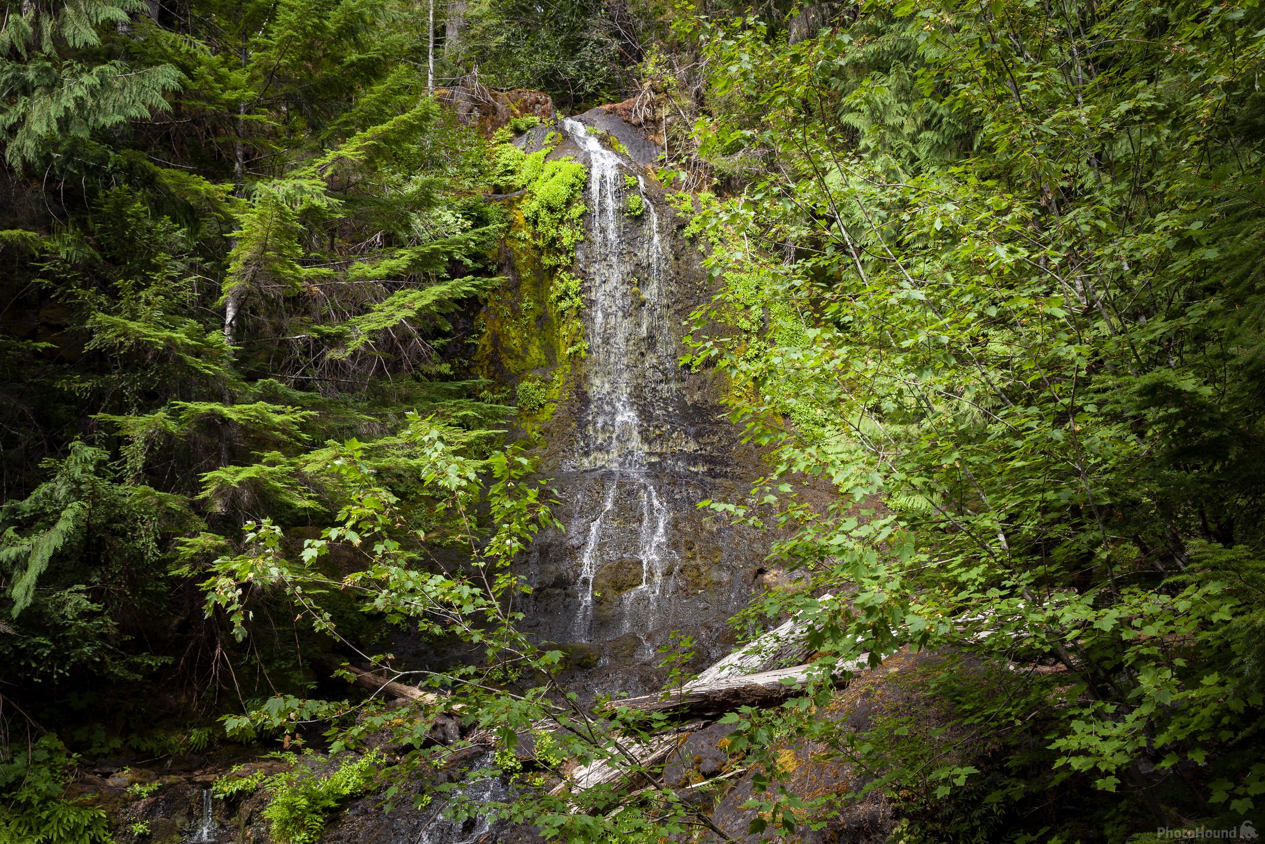 Image of Falls Creek Falls, Mount Rainier National Park by T. Kirkendall and V. Spring