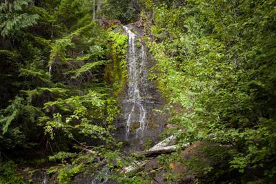 Photo of Falls Creek Falls, Mount Rainier National Park - Falls Creek Falls, Mount Rainier National Park