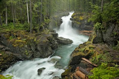 Photo of Silver Falls, Mount Rainier National Park - Silver Falls, Mount Rainier National Park